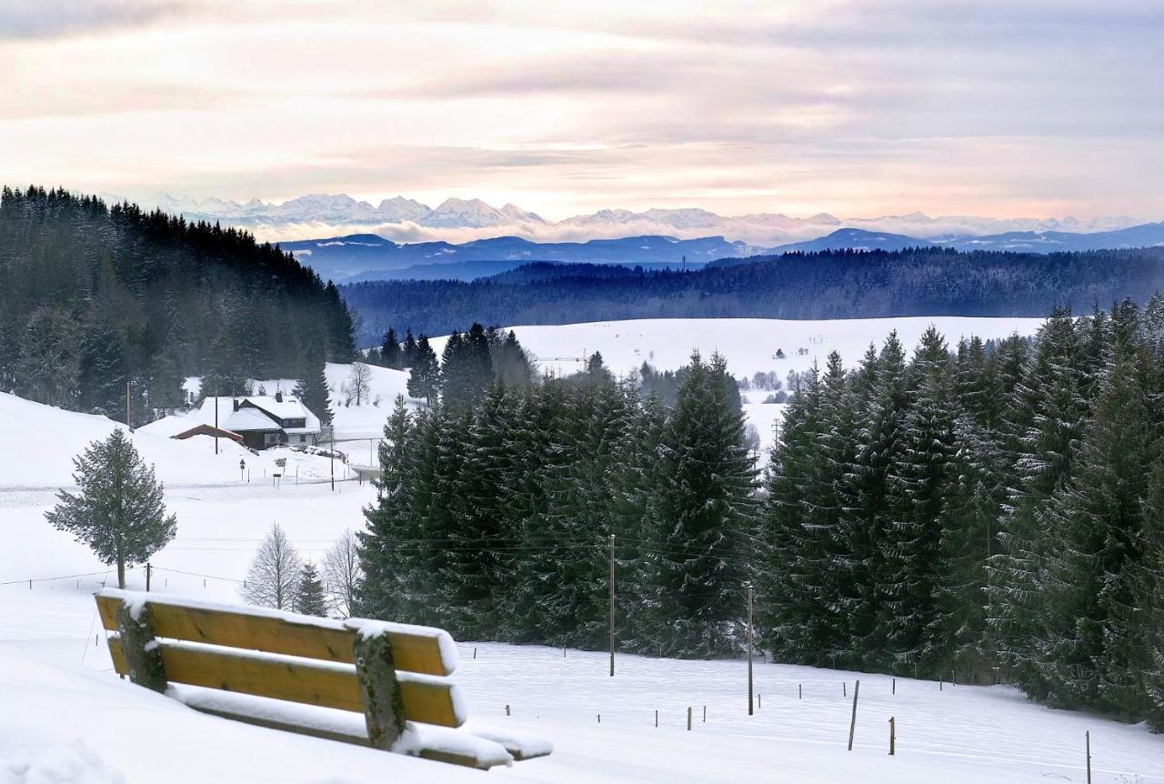 C2 Albmatte-Fewo , Hallenbad Aussenbecken Massagen Nebenan St. Blasien Exterior photo